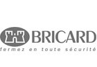 logo_BRI logo_BRI